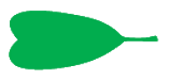 Leaf morphology obcordate.png