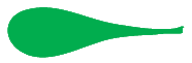 Leaf morphology spatulate.png