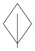 AquMakroph p08-Abb-1-5a Blattform rhombisch Dagmar Wassong.png