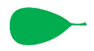 Leaf morphology obovate.png