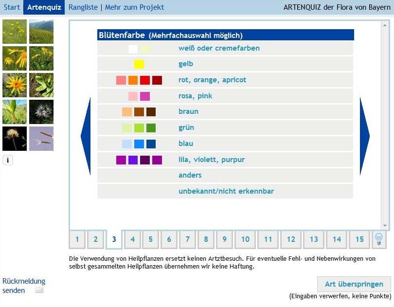 Beschreiben der Blütenfarbe im Artenquiz Bayernflora