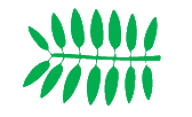 Leaf morphology even pinnate.png