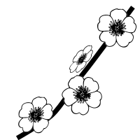 Plant flowering without leaves.svg