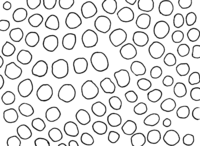 Polyporales-pore-shape-round.png