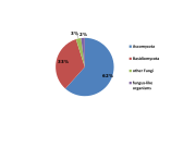 Abb1.3 fungi species numbers relative size groups 2021 (M. Piepenbring).svg