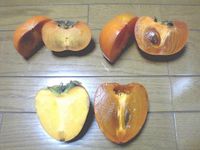 Persimmon(non astringent & astringent).jpg