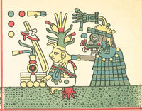 Tlaloc Codex Fejérváry-Mayer 34-2.jpg