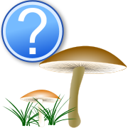 Determination logo fungi question.svg