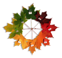 Autumn leaves (pantone).png