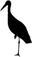 Ciconia-ciconia silhouette TTrilar-PMSL.jpg