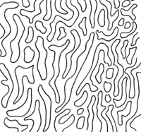 Polyporales-pore-shape-labyrinthine.png