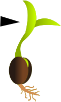 Herbs seedling - pointing character.svg
