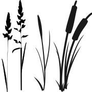 Logo of black/white grass-like plants