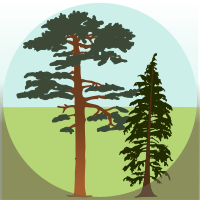 Habitat conifer forest.svg