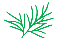 Leaf morphology multifide.svg