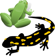 Logo for amphibians