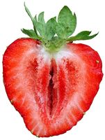 Strawberry sliced.jpg