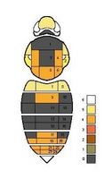 Paul Williams BumblebeeID pascuorum7.jpg