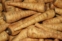 Parsnips.JPG