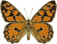 Johnny automatic butterfly 2.svg