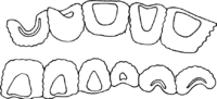 Gymnosporangium clavariaeforme (Jacq.) DC. Abb0999d (Gäumann 1959, Rostpilze Mitteleuropas).png