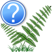 Determination logo ferns question.svg