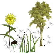 Logo for vascular plants