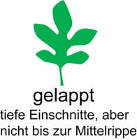 Blatt Morphologie gelappt.jpg