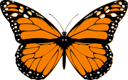 Butterfly.svg