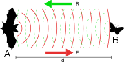 Chiroptera echolocation.svg