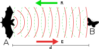 Chiroptera echolocation.svg