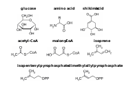 Abb1.26 CHEM fungi molecules 2022 (M. Piepenbring).svg