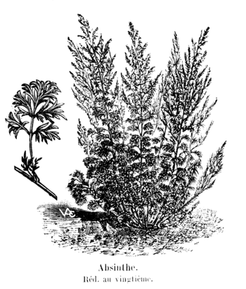 Absinthe Vilmorin-Andrieux 1904.png