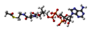 Acetyl-CoA-3D-balls.png