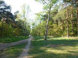 Birkenweg in Adlershof – Fridolin freudenfett, CC BY-SA 3.0