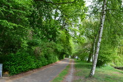 Spreeuferweg im Naturschutzgebiet – Kvikk, CC-BY-SA 4.0