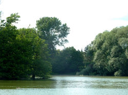 nordwestlicher Blick über den Obersee – Alexander Buhl, CC BY-SA 4.0