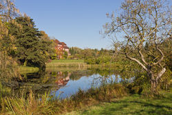 Botanischer Garten und Eichenteich im Herbst – A.Savin, CC BY-SA 3.0