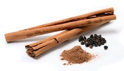 alt=Description de l'image Cinnamomum verum spices (bearbeitet).jpg.