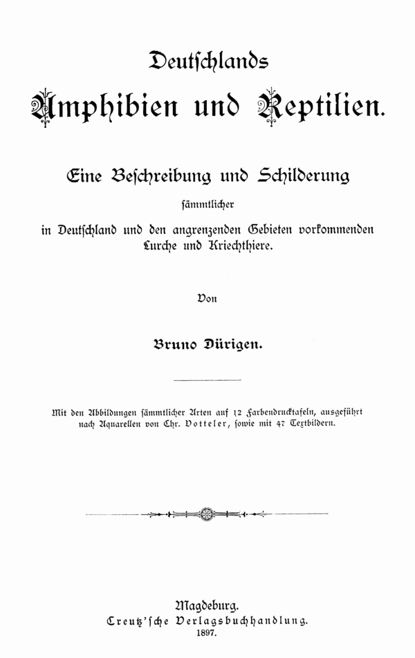 Dürigen 1897 000 Titelblatt.png