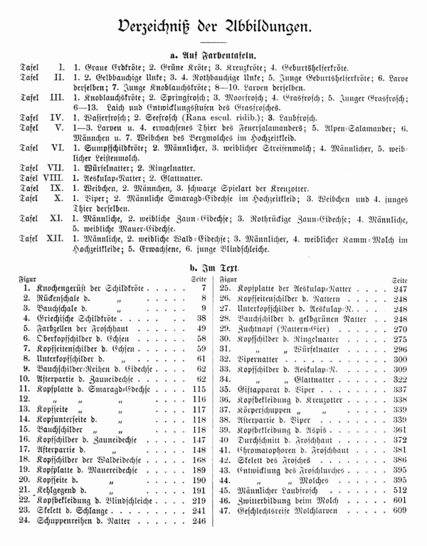 Dürigen 1897 671 Verzeichnis der Abbildungen.png