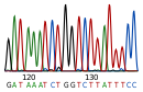 DNA sequence.svg