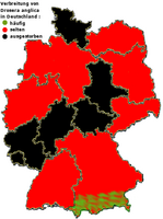 Verbreitung in Deutschland