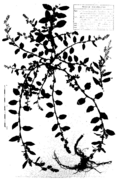 Abb. 4
