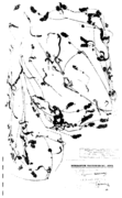Abb. 8