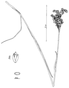 Abb. 1