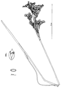 Abb. 2