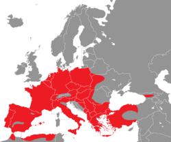 Verbreitung des Gartenbaumläufers in Europa - Alice Chodura (CC-BY-SA-3.0)