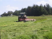 Eine Wiese wird gemäht. (Bild: W. Wohlers, JKI)