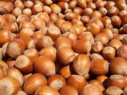 alt=Description de l'image Hazelnuts.jpg.